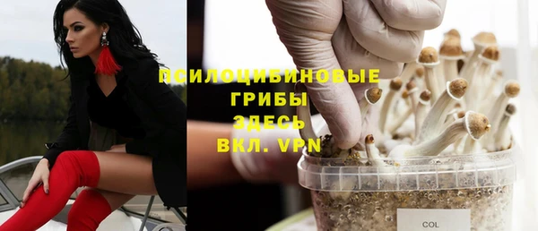 ГАЛЛЮЦИНОГЕННЫЕ ГРИБЫ Тихорецк