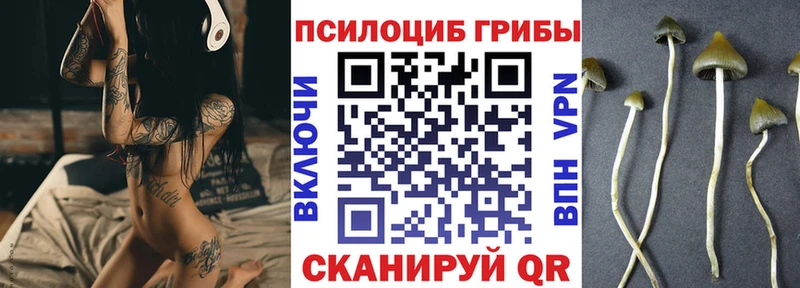 Галлюциногенные грибы прущие грибы Купить где Верхняя Салда